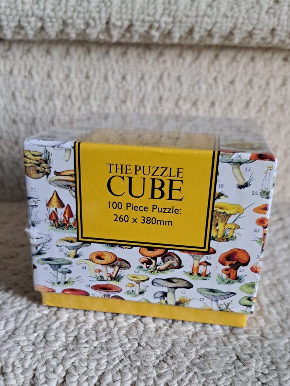 The Puzzle Cube By Robert Frederick 100 Piece Jigsaw Puzzle NEW!